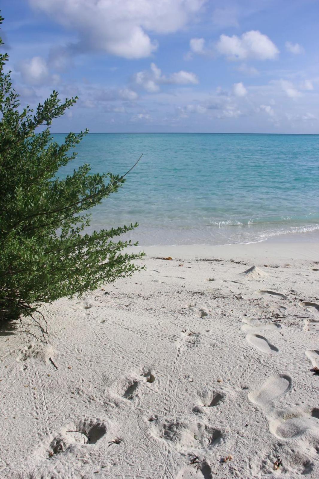 Isla Retreat 호텔 Fehendhoo 외부 사진